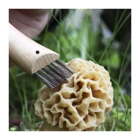 Opinel plumier pour champignon avec étui